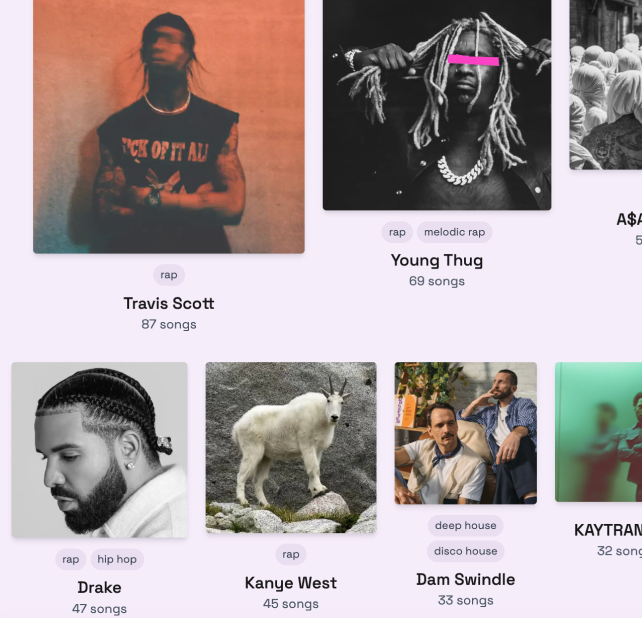 Top Artists visualization